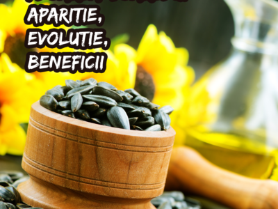 Floarea-soarelui – aparitie, evolutie, beneficii