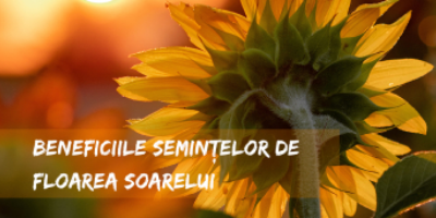 Beneficiile semintelor de floarea soarelui